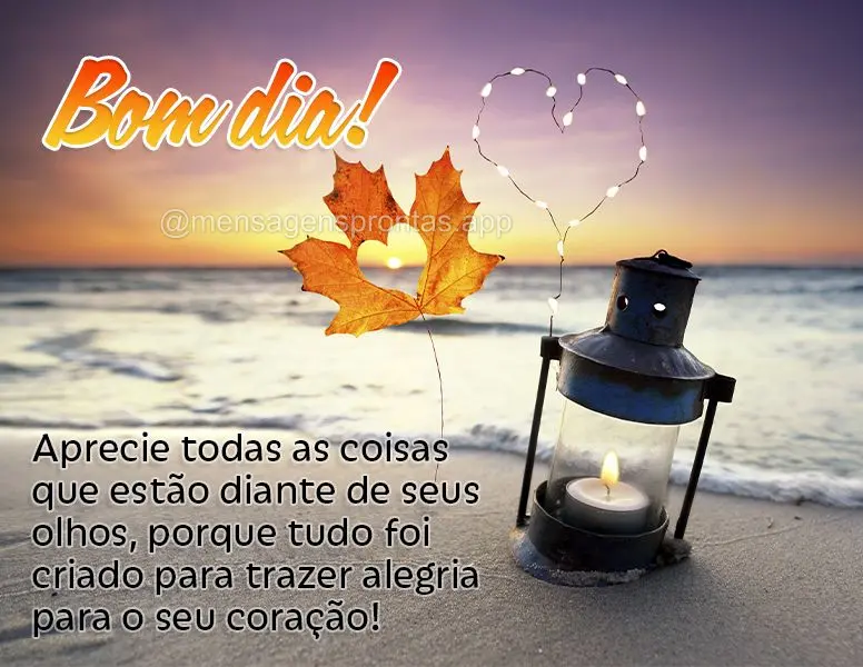 Aprecie todas as coisas que estão diante de seus olhos, porque tudo foi criado para trazer alegria para o seu coração! Bom dia!