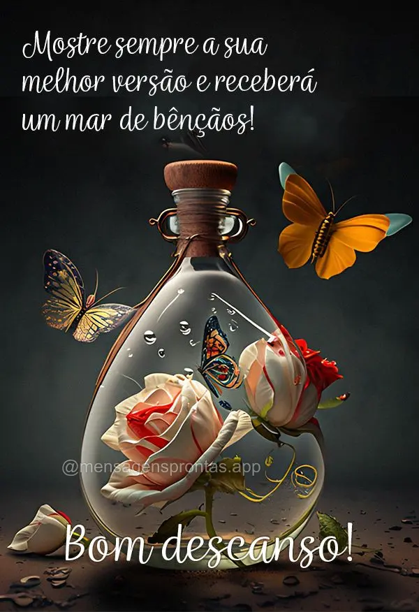 Mostre sempre a sua melhor versão e receberá um mar de bênçãos! Bom descanso!