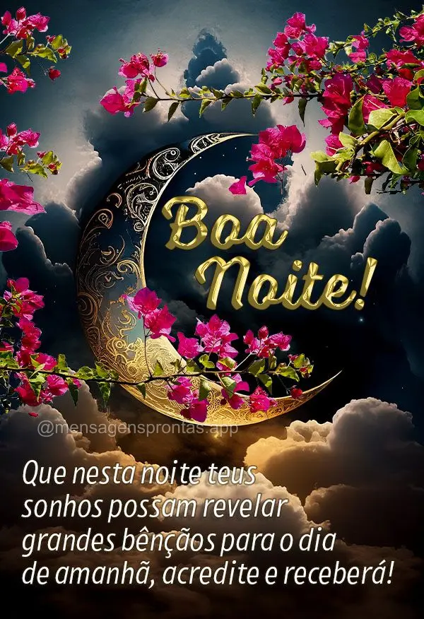 Que nesta noite teus sonhos possam revelar grandes bênçãos no dia de amanhã, acredite e receberá! Boa noite! 