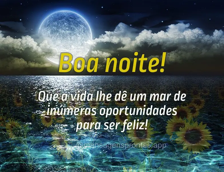 Que a vida lhe dê um mar de inúmeras oportunidades para ser feliz! Boa noite!