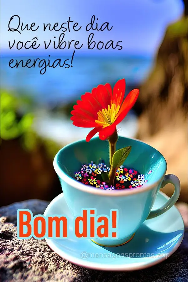 Que neste dia você vibre boas energias! Bom dia!