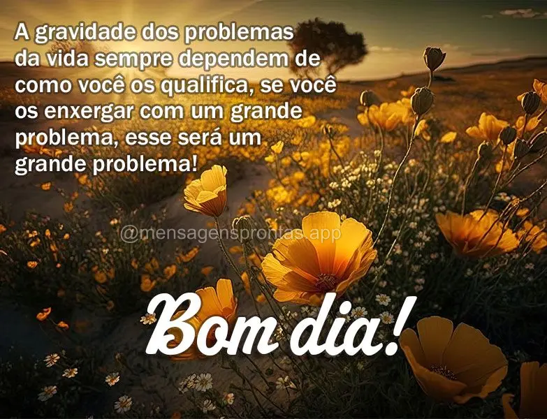 A gravidade dos problemas da vida sempre dependem de como você os qualifica, se você os enxergar com um grande problema, esse será um grande problema!...