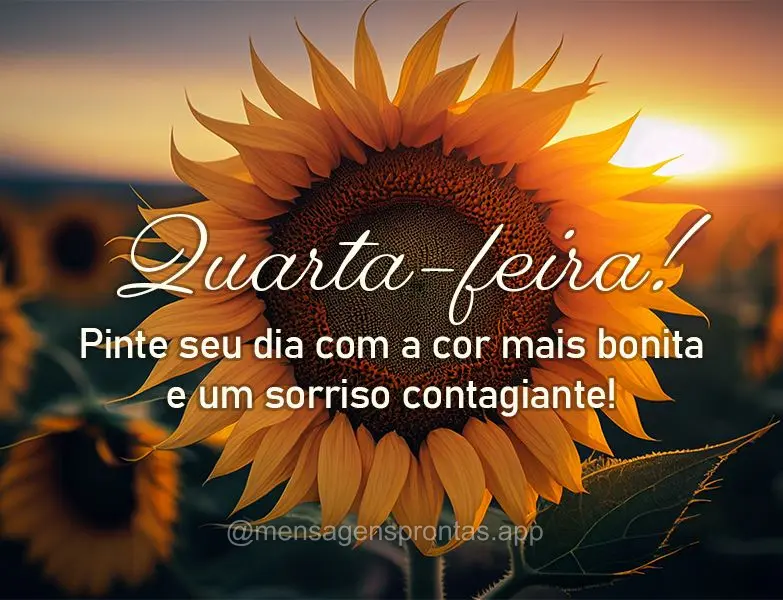 Pinte seu dia com a cor mais bonita e um sorriso contagiante! Quarta-feira!