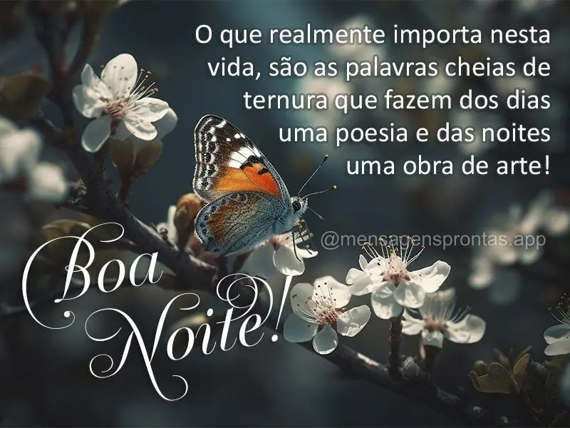 O que realmente importa nesta vida são as palavras cheias de ternura que fazem dos dias uma poesia e das noites uma obra de arte! Boa noite!