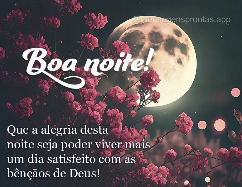 Que a alegria desta noite seja poder viver mais um dia satisfeito com as bênçãos de Deus! Boa noite!