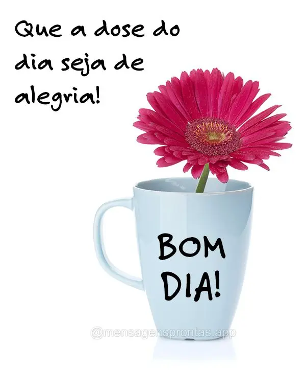 Que a dose do dia seja de alegria! Bom dia!
