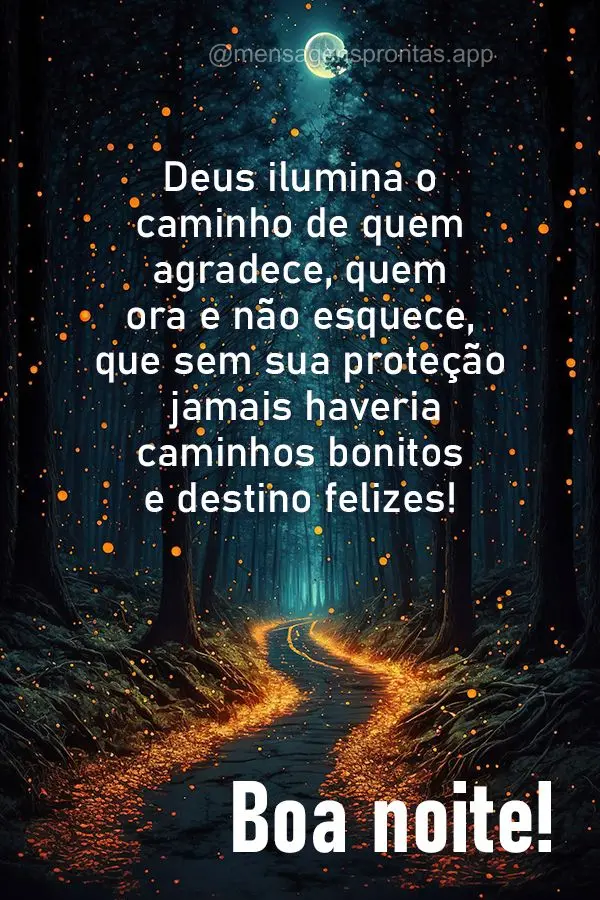 Deus ilumina o caminho de quem agradece, quem ora e não esquece, que sem sua proteção jamais haveria caminhos bonitos e destino felizes! Boa noite!