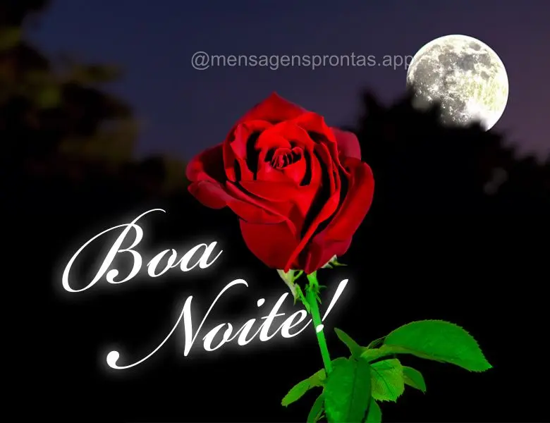 Boa noite!