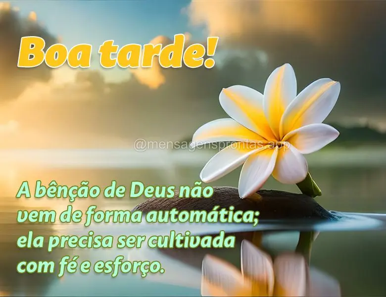 A bênção de Deus não vem de forma automática; ela precisa ser cultivada com fé e esforço. Boa tarde!