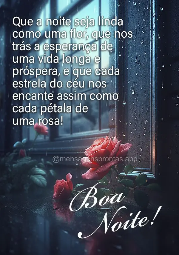 Boa noite! Que a noite seja linda como uma flor, que nos trás a esperança de uma vida longa e próspera, e que cada estrela do céu nos encante assim c...