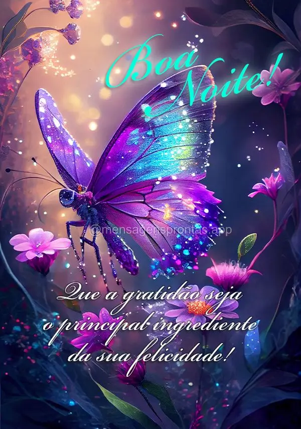 Que a gratidão seja o principal ingrediente da sua felicidade! Boa noite!