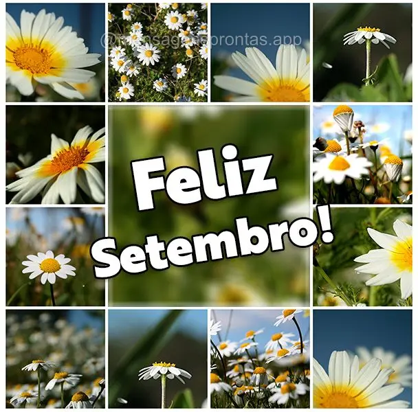Feliz Setembro!