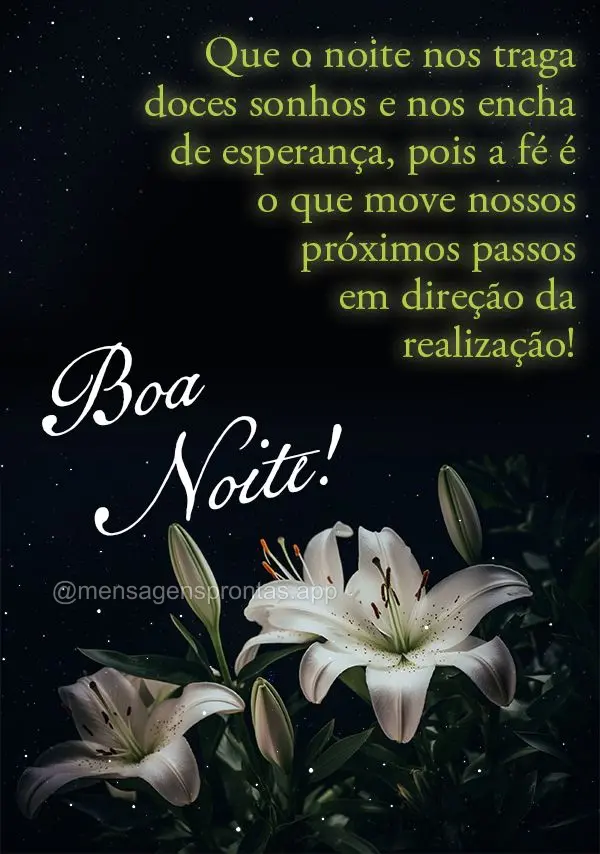Que o noite nos traga doces sonhos e nos encha de esperança, pois a fé é o que move nossos próximos passos em direção da realização! Boa noite!...