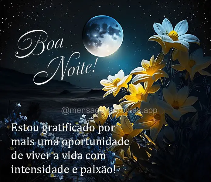 Estou gratificado por mais uma oportunidade de viver a vida com intensidade e paixão! Boa noite!