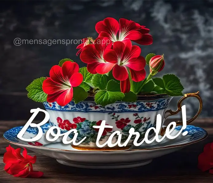 Boa tarde!