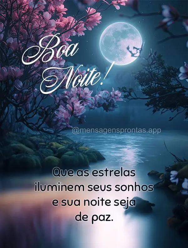 Que as estrelas iluminem seus sonhos e sua noite seja de paz. Boa noite!