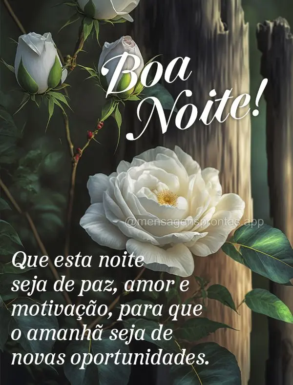Que esta noite seja de paz, amor e motivação, para que o amanhã seja de novas oportunidades. Boa noite!