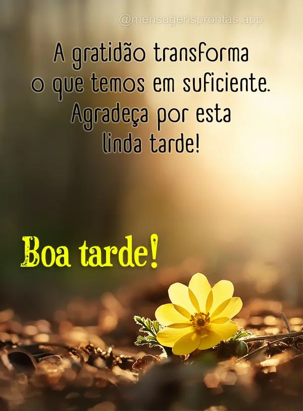 A gratidão transforma o que temos em suficiente. Agradeça por esta linda tarde! Boa tarde!