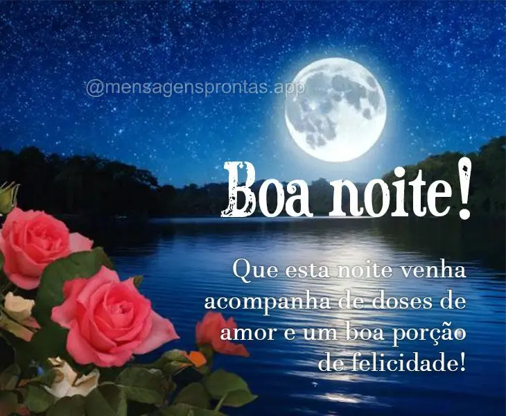 Que esta noite venha acompanha de doses de amor e um boa porção de felicidade! Boa noite!
