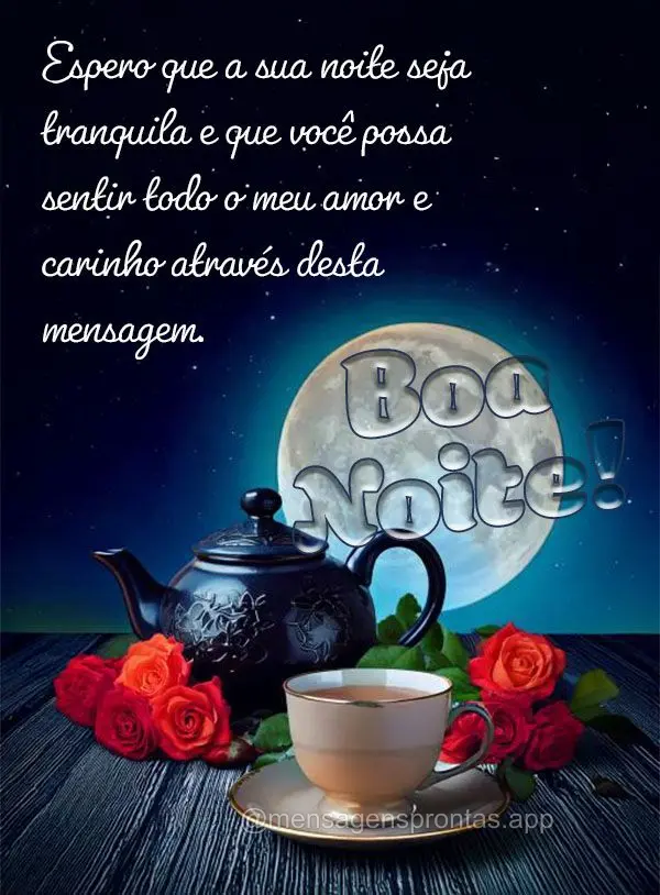 Espero que a sua noite seja tranquila e que você possa sentir todo o meu amor e carinho através desta mensagem. Boa noite!