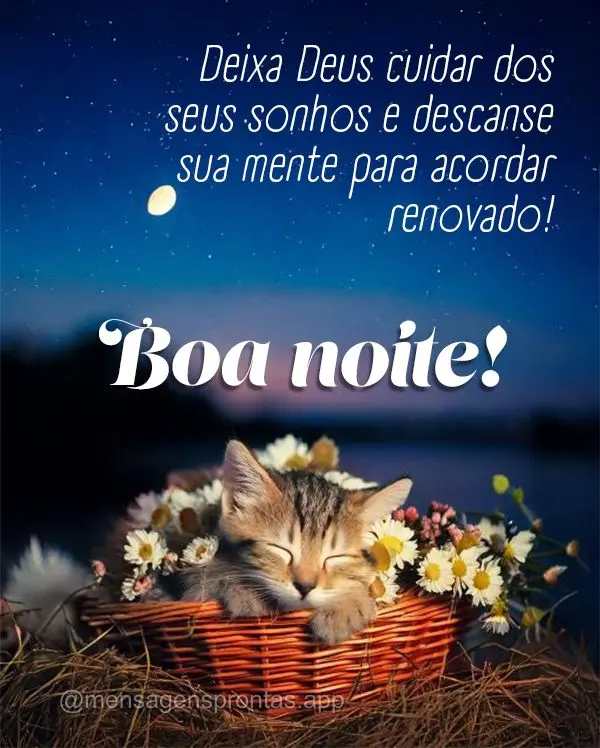 Deixa Deus cuidar dos seus sonhos e descanse sua mente para acordar renovado!  Boa noite!