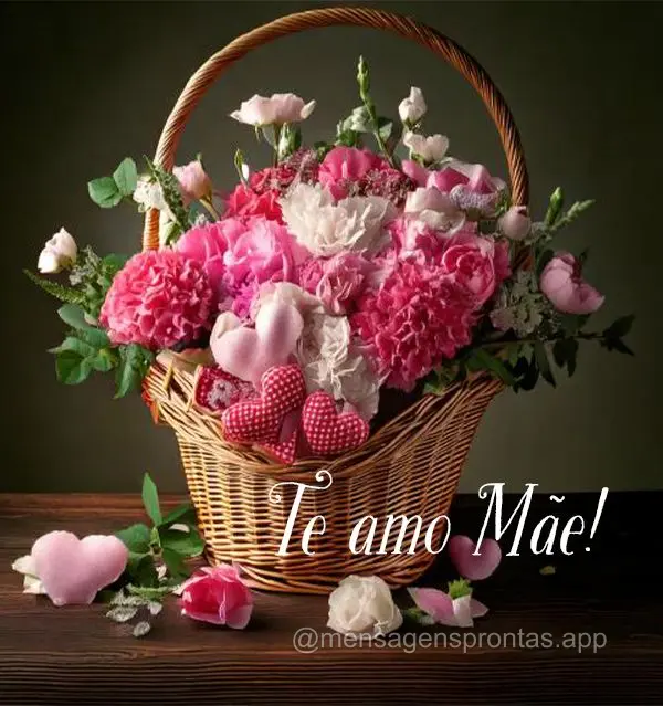 Te Amo Mãe!