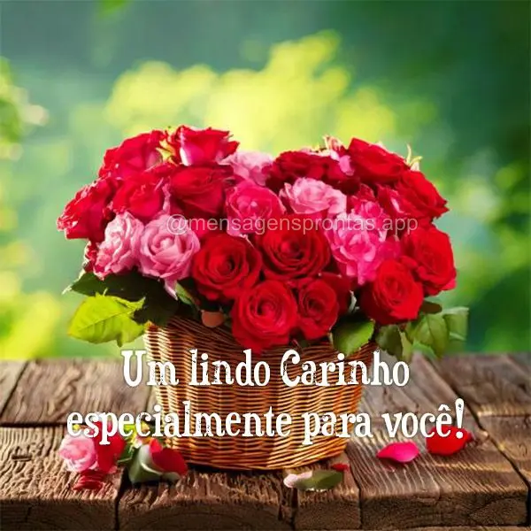 Um lindo carinho especialmente para você!