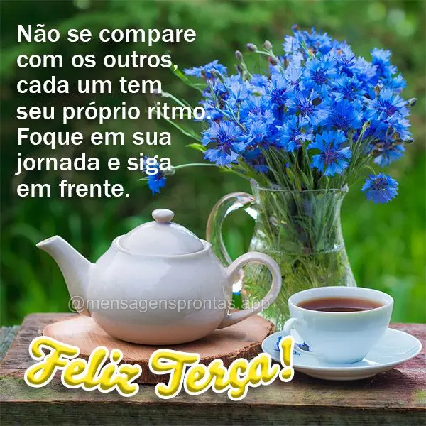 Não se compare com os outros, cada um tem seu próprio ritmo. Foque em sua jornada e siga em frente. Feliz Terça!