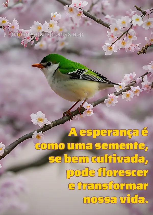"A esperança é como uma semente, se bem cultivada, pode florescer e transformar nossa vida."