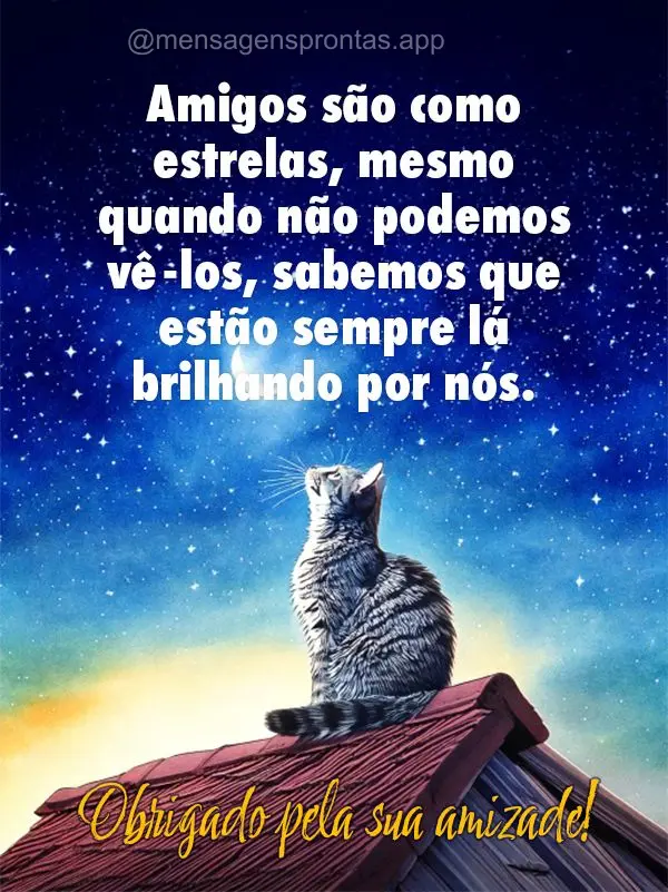 Amigos são como estrelas, mesmo quando não podemos vê-los, sabemos que estão sempre lá brilhando por nós. Obrigado pela sua amizade!