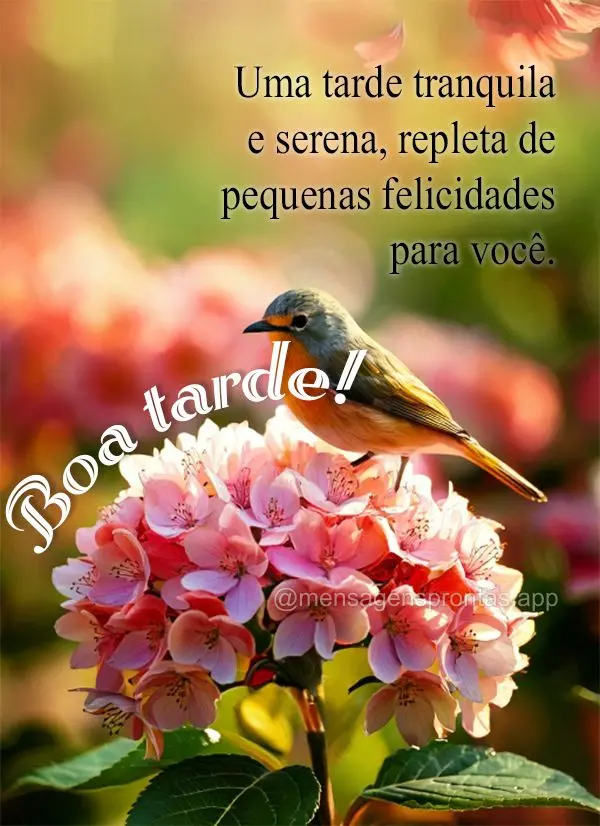 Uma tarde tranquila e serena, repleta de pequenas felicidades para você. Boa tarde!