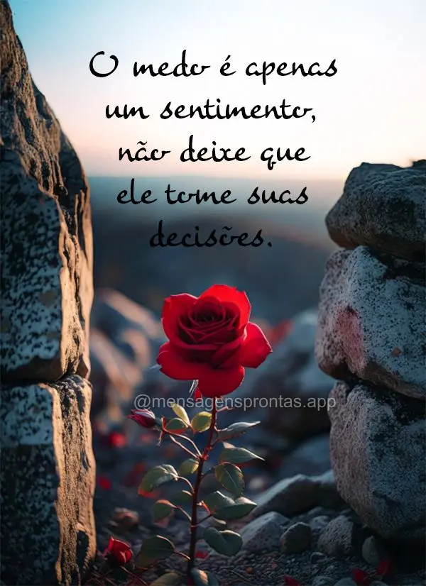 O medo é apenas um sentimento, não deixe que ele tome suas decisões.