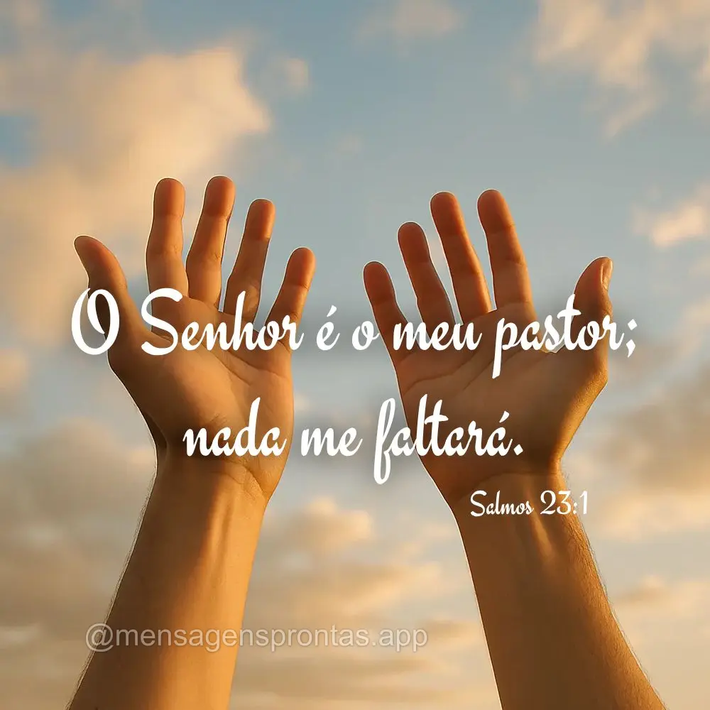 O Senhor é o meu pastor; 
nada me faltará. Salmos 23:1