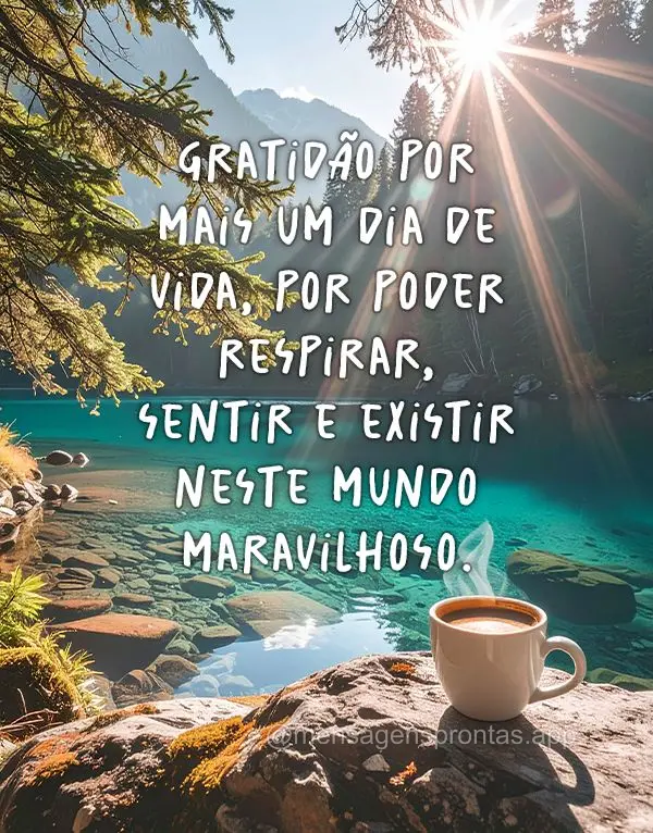 Gratidão por mais um dia de vida, por poder respirar, sentir e existir neste mundo maravilhoso.