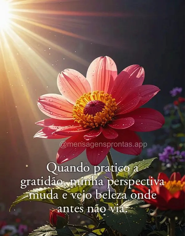 Quando pratico a gratidão, minha perspectiva muda e vejo beleza onde antes não via.