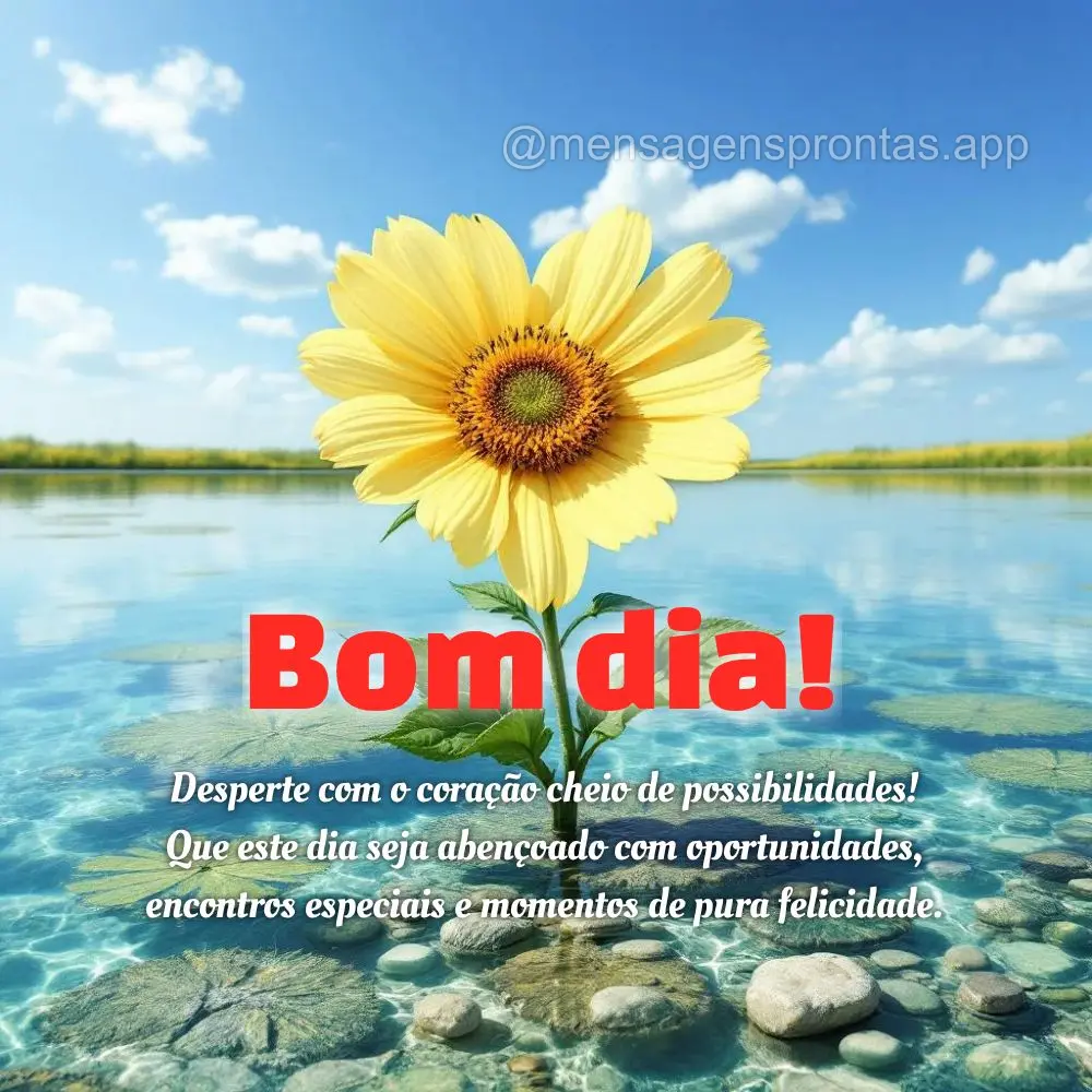 Desperte com o coração cheio de possibilidades! Que este dia seja abençoado com oportunidades, encontros especiais e momentos de pura felicidade. Bom ...