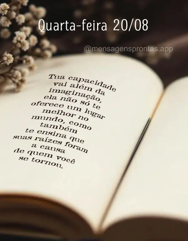 Tua capacidade vai além da imaginação, ela não só te oferece um lugar melhor no mundo, como também te ensina que suas raízes foram a causa de quem...
