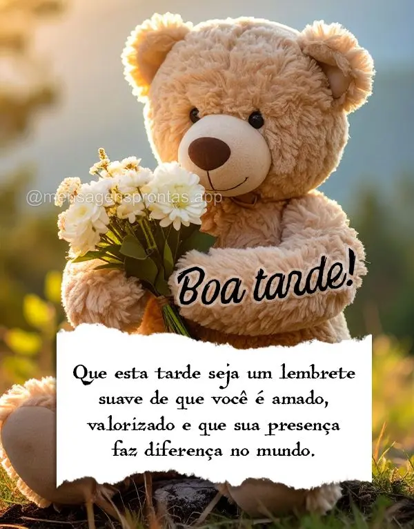 Que esta tarde seja um lembrete suave de que você é amado, valorizado e que sua presença faz diferença no mundo. Boa tarde!