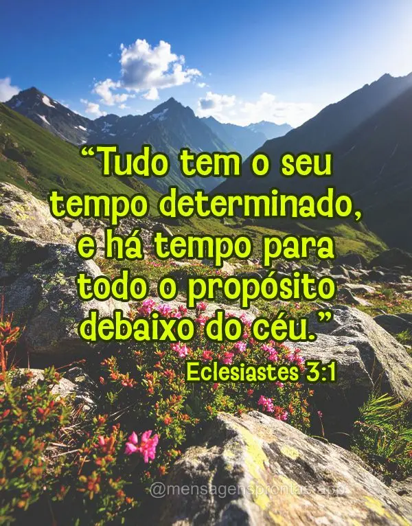 "Tudo tem o seu tempo determinado, e há tempo para todo o propósito debaixo do céu." Eclesiastes 3:1