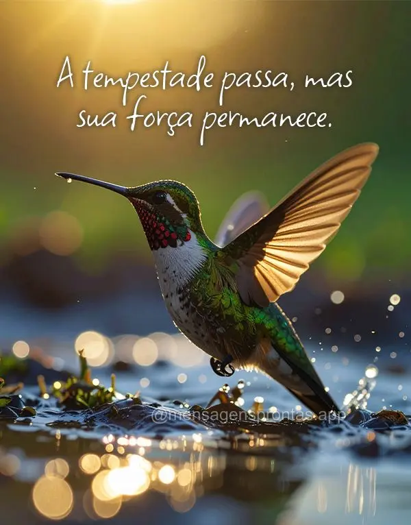A tempestade passa, mas sua força permanece.