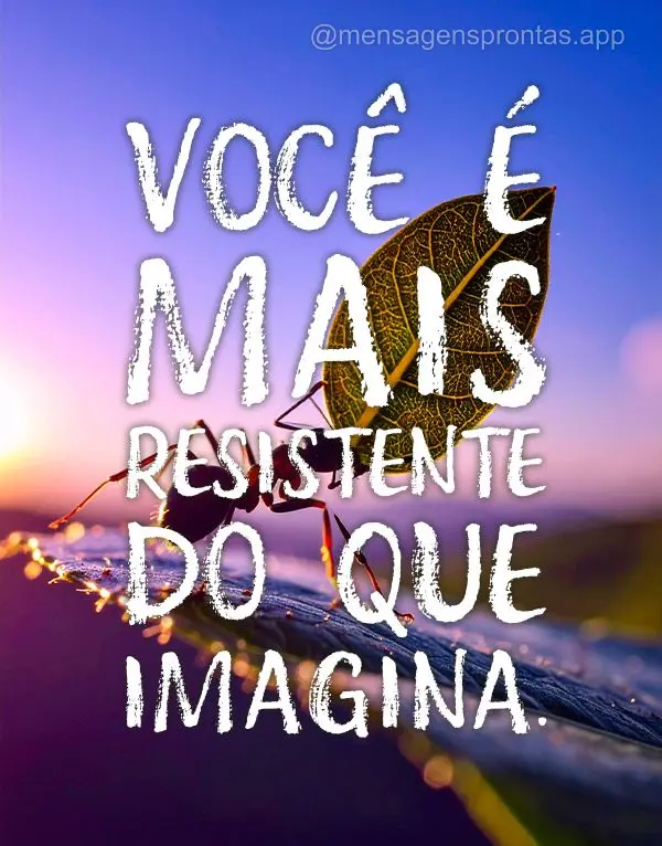 Você é mais resistente do que imagina.