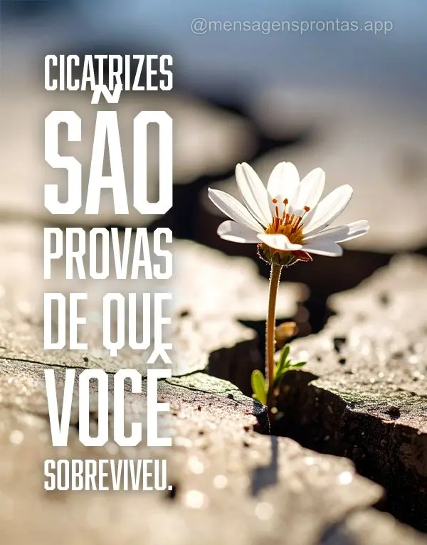 Cicatrizes são provas de que você sobreviveu.