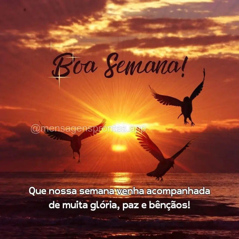 Que nossa semana venha acompanhada de muita glória, paz e bênçãos! Boa Semana!