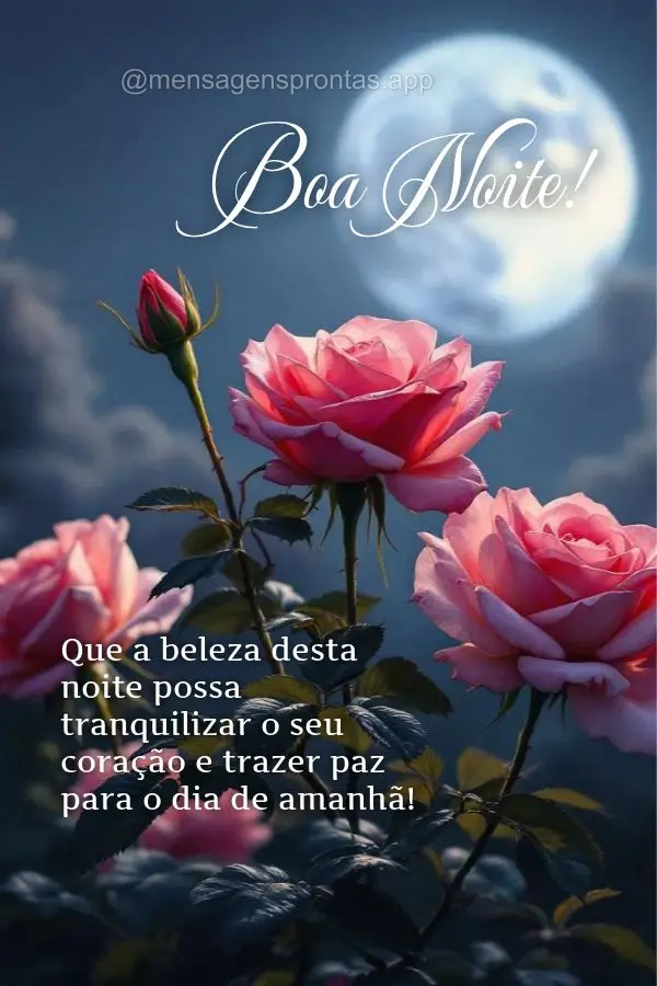 Que a beleza desta noite possa tranquilizar o seu coração e trazer paz para o dia de amanhã! Boa Noite!