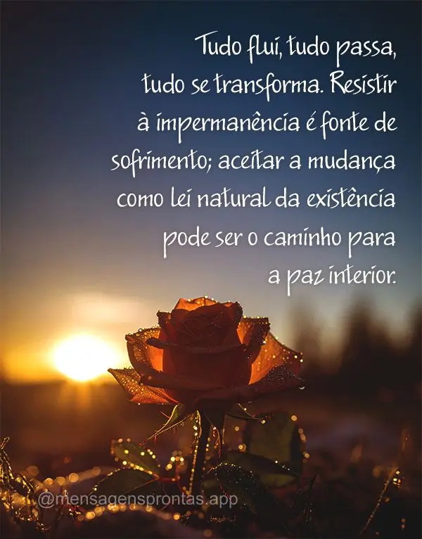 Tudo flui, tudo passa, tudo se transforma. Resistir à impermanência é fonte de sofrimento; aceitar a mudança como lei natural da existência pode ser...