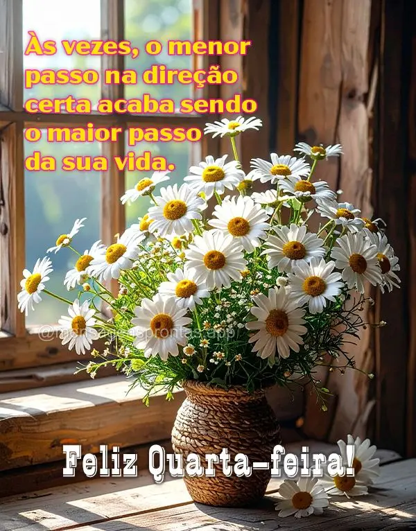 Às vezes, o menor passo na direção certa acaba sendo o maior passo da sua vida. Feliz Quarta-feira!