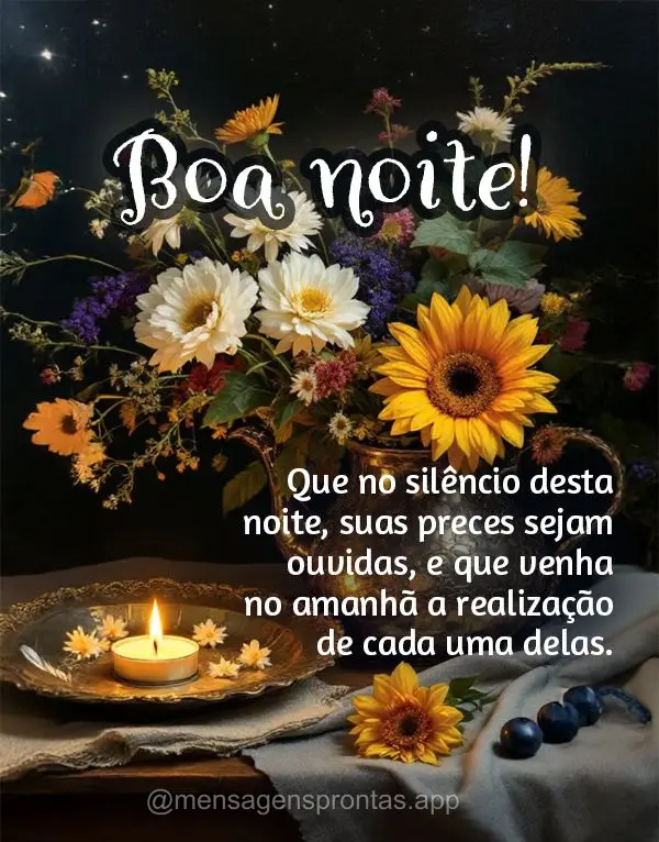 Que no silêncio desta noite, suas preces sejam ouvidas, e que venha no amanhã a realização de cada uma delas. Boa noite!