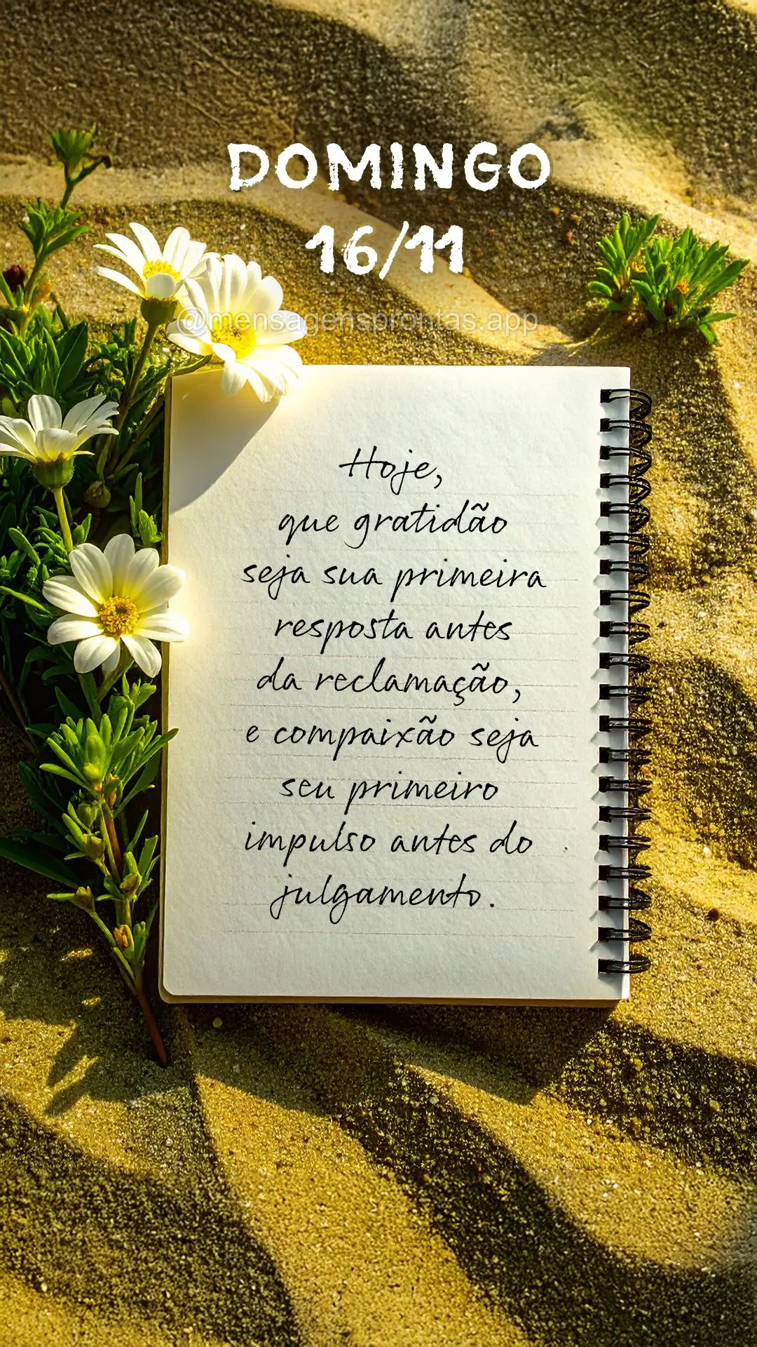 Hoje, que gratidão seja sua primeira resposta antes da reclamação, e compaixão seja seu primeiro impulso antes do julgamento. 16/11 Domingo
