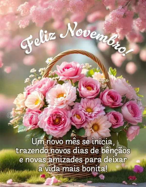 Um novo mês se inicia, trazendo novos dias de bênçãos e novas amizades para deixar a vida mais bonita! Feliz Novembro!