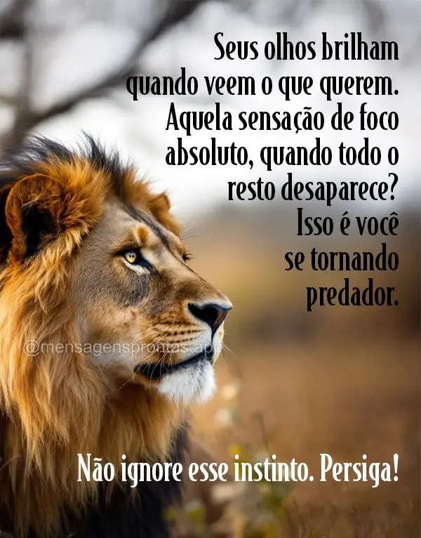 Seus olhos brilham quando veem o que querem. Aquela sensação de foco absoluto, quando todo o resto desaparece? Isso é você se tornando predador. Não...